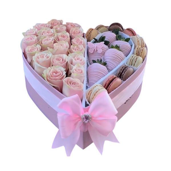 Photoroom_20260217_233609